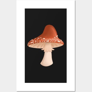 A Mushroom Toadstool Posters and Art